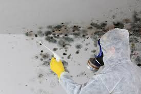 Asbestos and Lead Testing During Mold Inspection in Reading, MI